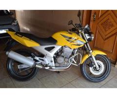 Honda Twister 08 C/Mola Esportiva e Alarme - 2008